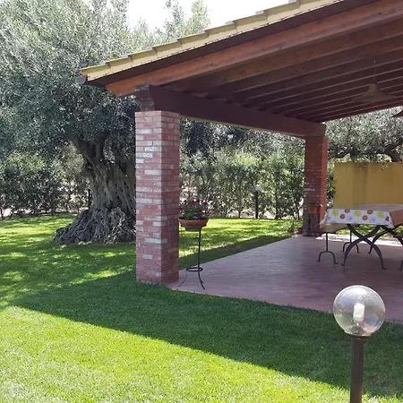 House Surrounded By Olive Trees Sciacca