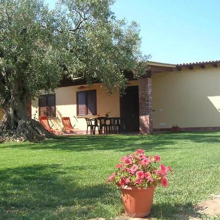 House Surrounded By Olive Trees Holiday home Sciacca