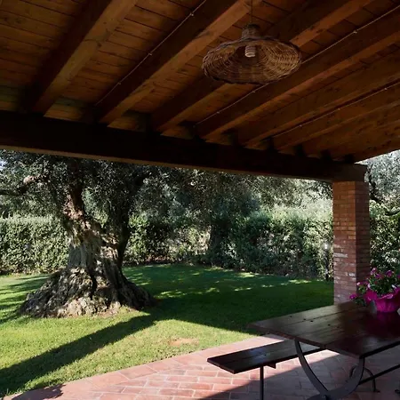 Holiday home House Surrounded By Olive Trees *